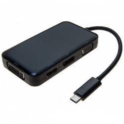 Convertisseur multiports USB Type-C vers VGA/DVI/HDMI/DisplayPort