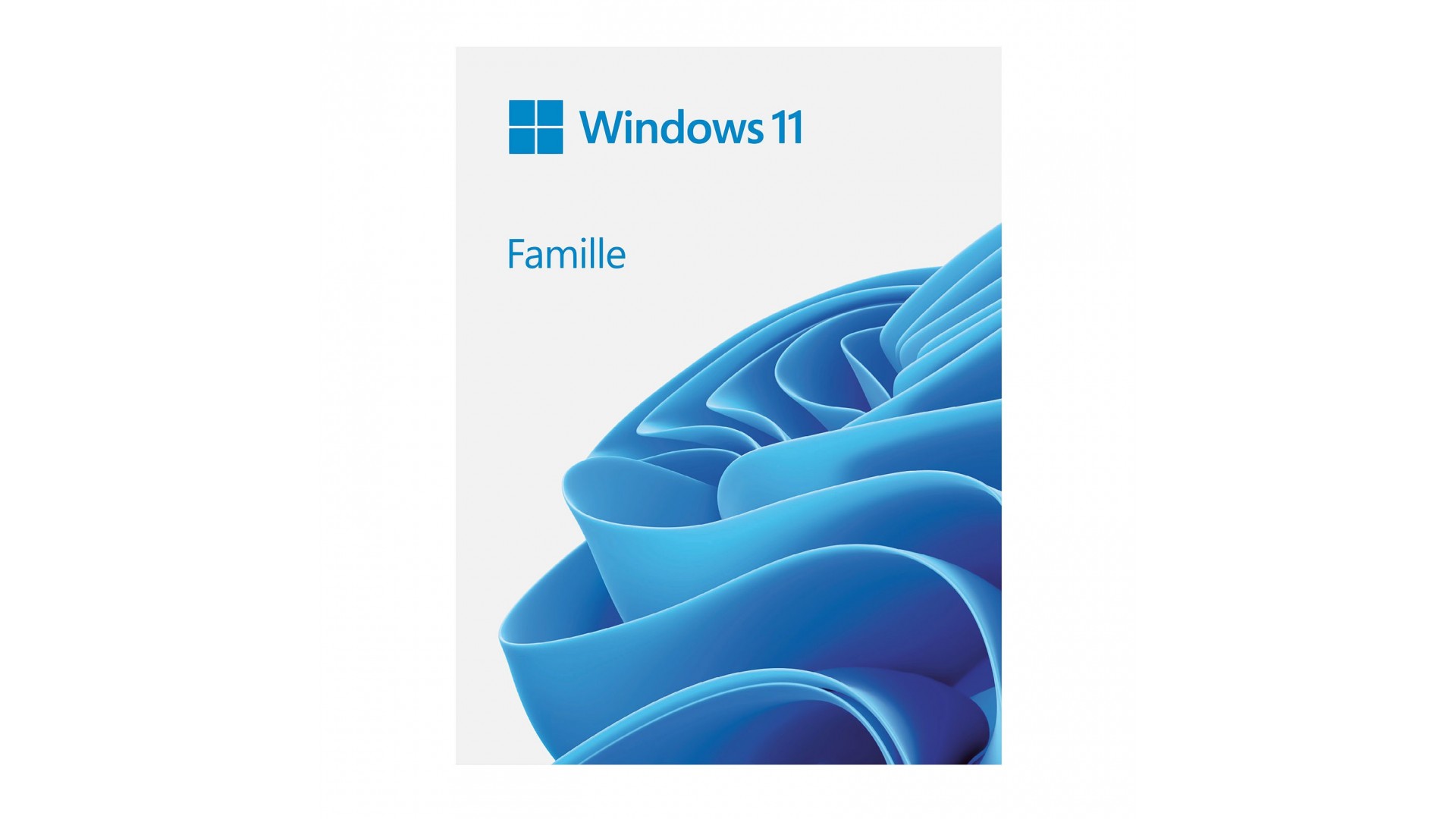 Windows 11 Famille (français) - Licence OEM