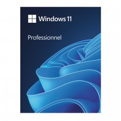Windows 11 Professionnel...