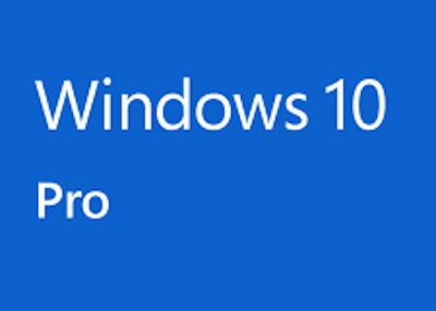 Système d'exploitation : Windows 10 Professionnel 