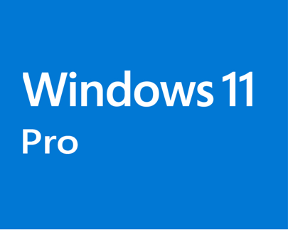 Système d'exploitation : Windows 11 Professionnel